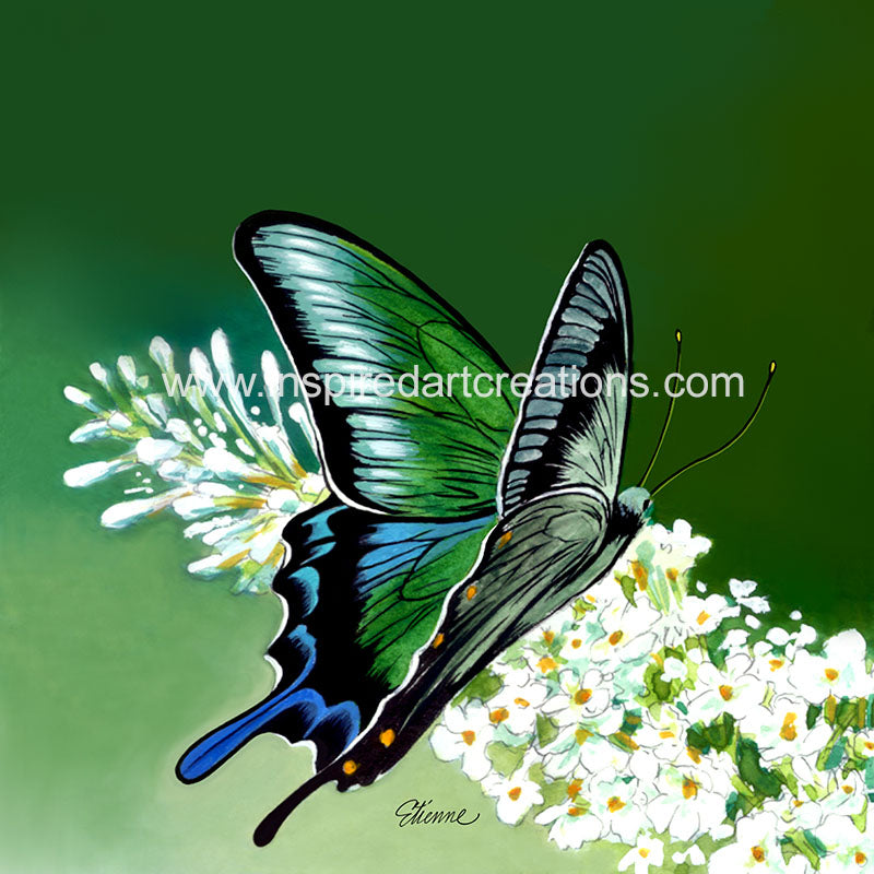 Giclee pigmentaire | Papillon | Papillon vert | InspiredArtCreations