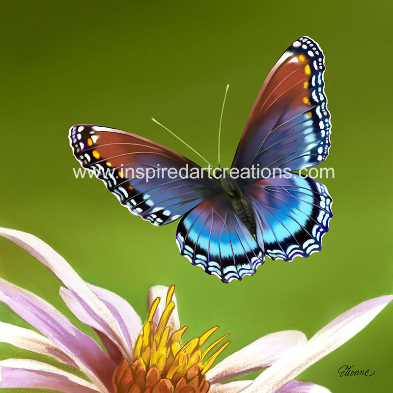 Giclee pigmentaire | Papillon | Papillon bleu et rouge | InspiredArtCreations