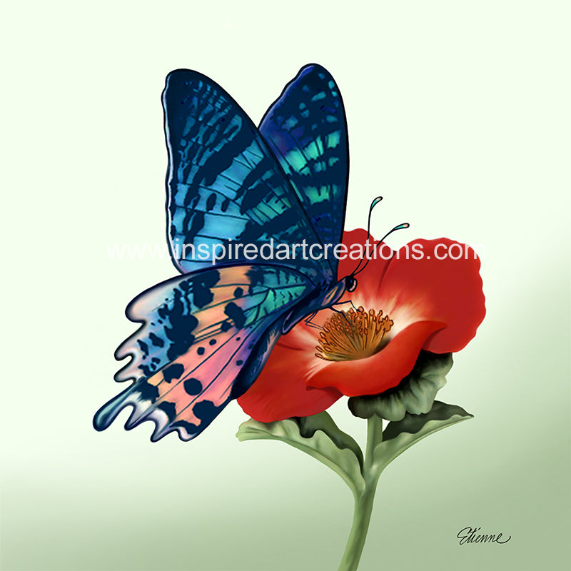 Giclee pigmentaire | Papillon | Papillon exotique | InspiredArtCreations