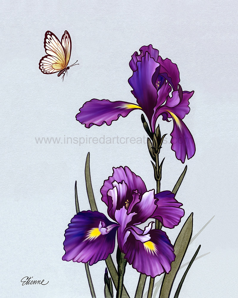Giclee pigmentaire | Fleur | Iris | InspiredArtCreations