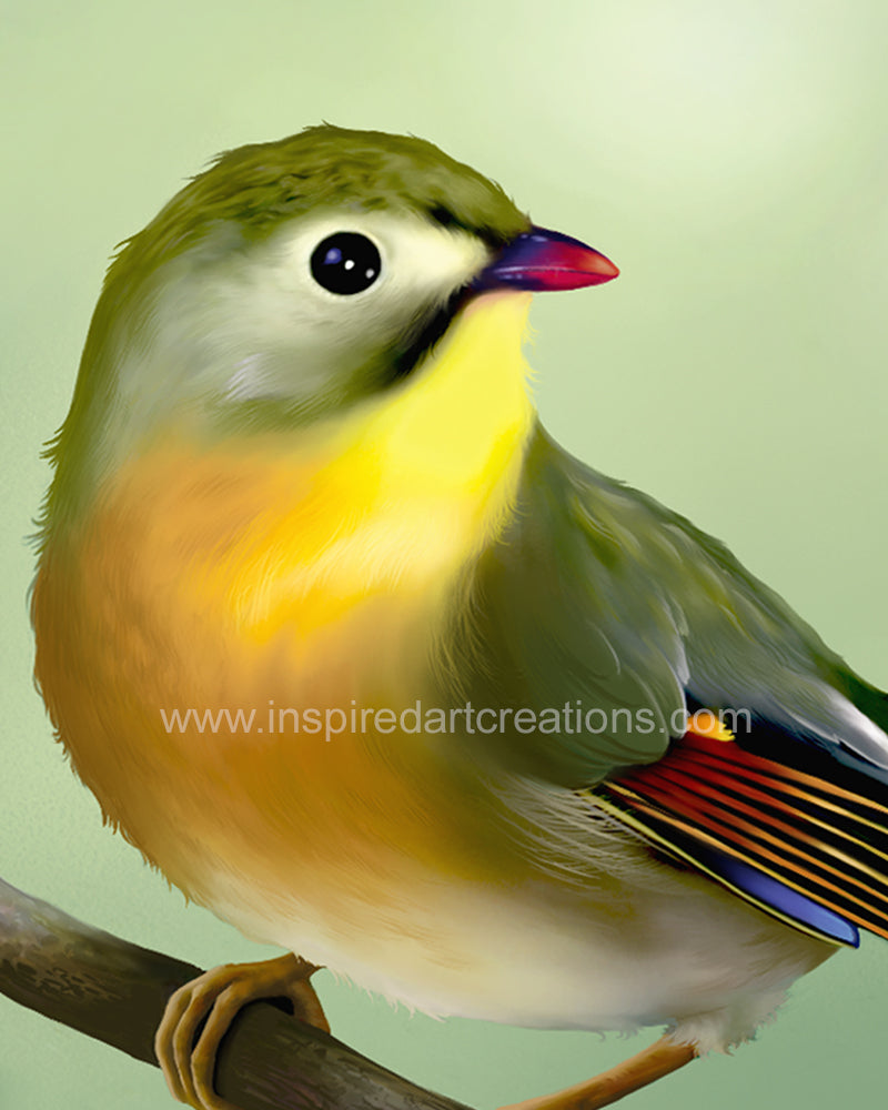 Giclee pigmentaire | Oiseau | Léothrix | InspiredArtCreations