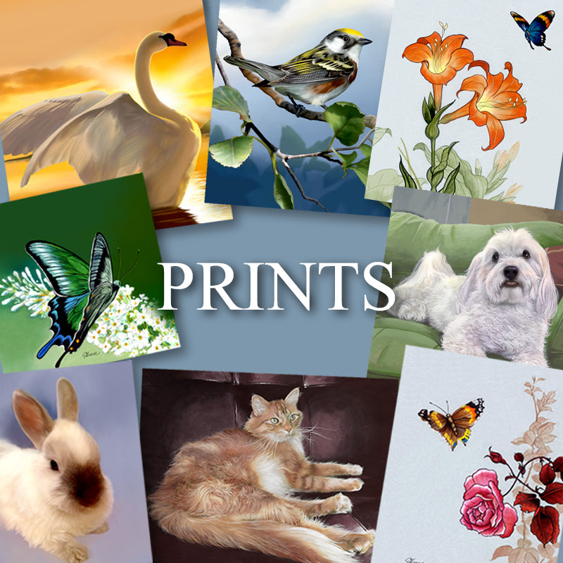 Prints