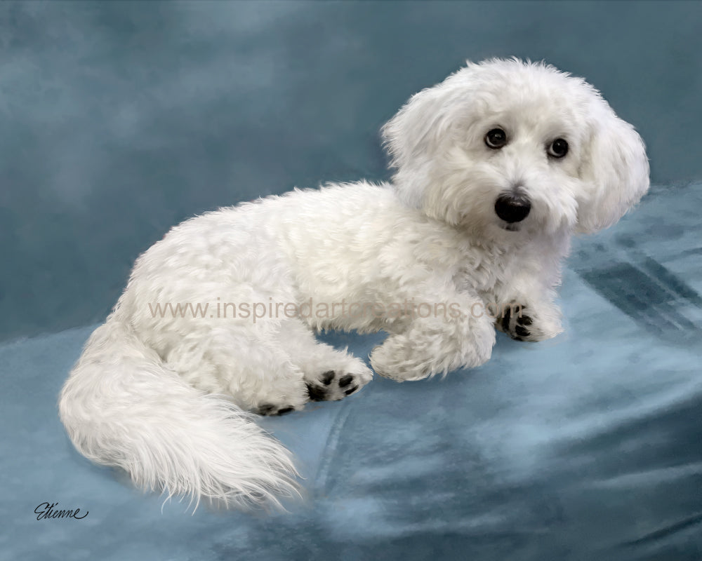 Giclee Print | Dog | Pepper | InspiredArtCreations