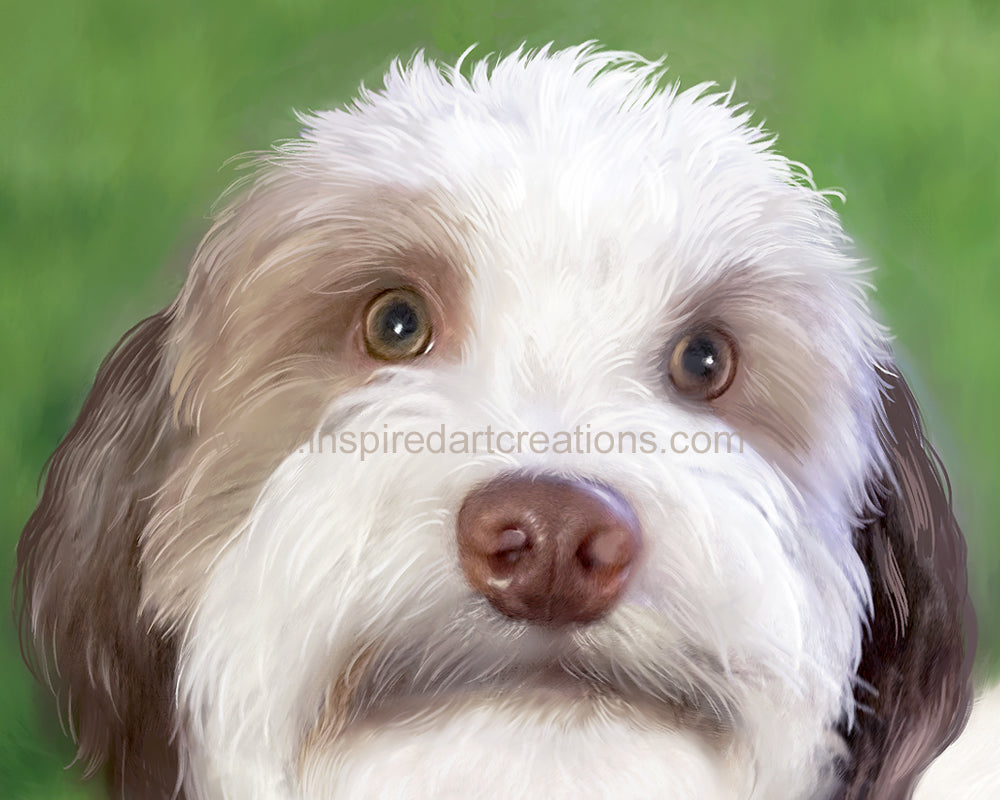 Giclee Print | Dog | Toffee | InspiredArtCreations