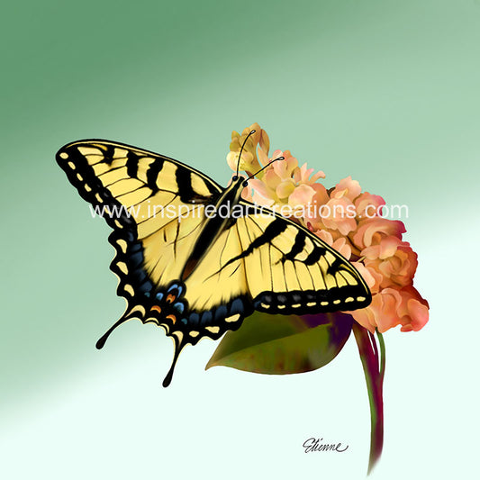 Giclee Print | Butterfly | Swallowtail Butterfly | InspiredArtCreations