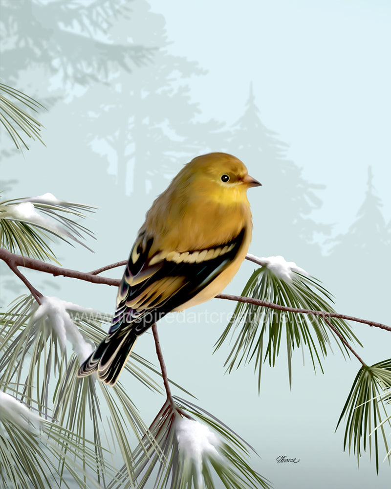 Giclee pigmentaire | Oiseau | Pinson | InspiredArtCreations
