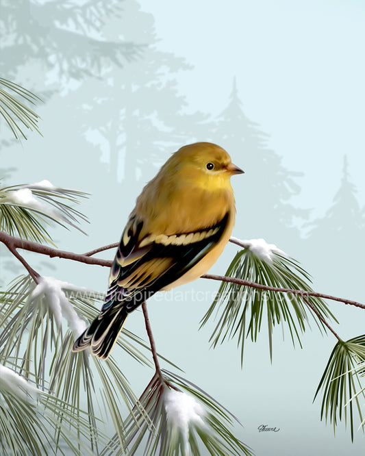 Giclee Print | Bird | Finch | InspiredArtCreations