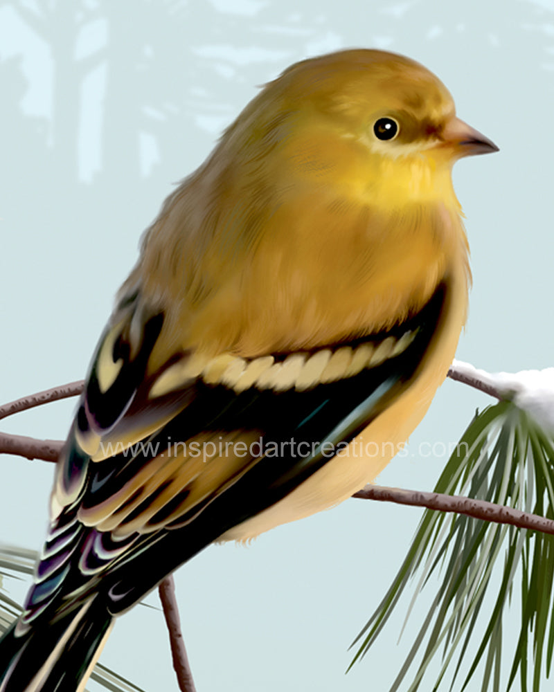 Giclee pigmentaire | Oiseau | Pinson | InspiredArtCreations