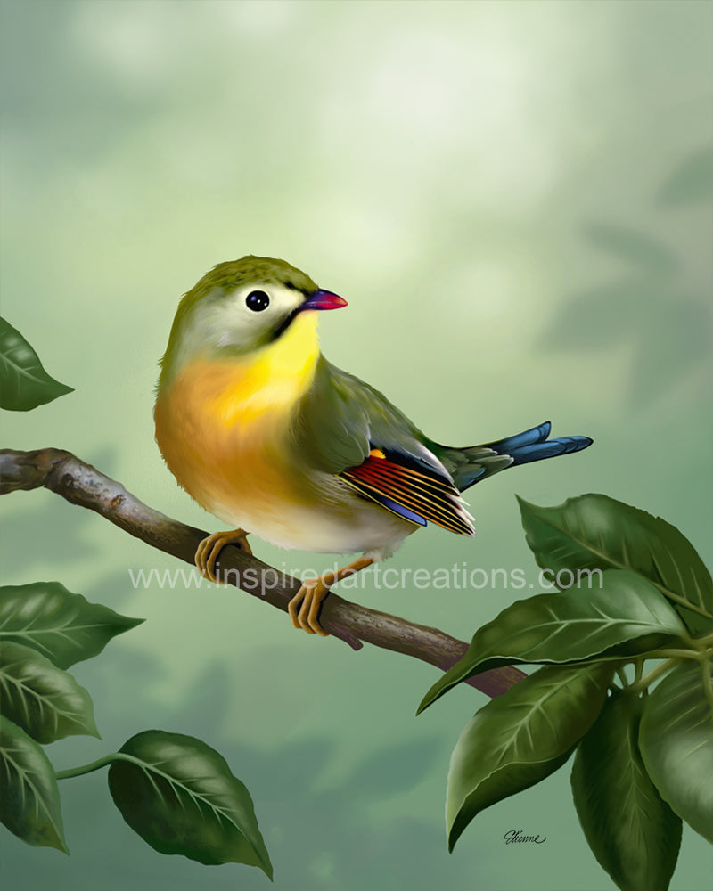 Giclee pigmentaire | Oiseau | Léothrix | InspiredArtCreations