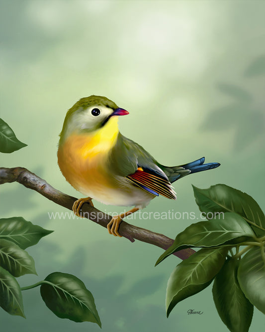 Giclee Print | Bird | Leothrix | InspiredArtCreations