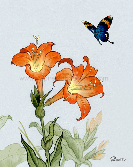 Giclee Print | Flower | Lilies | InspiredArtCreations