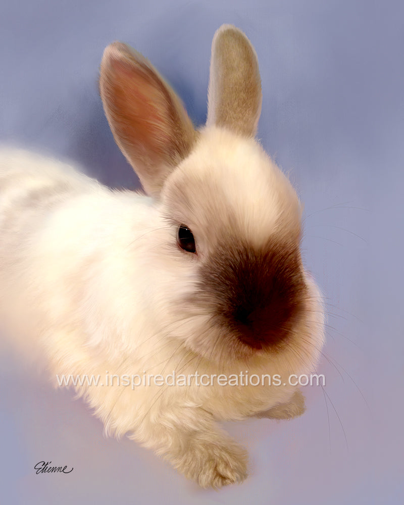 Giclee Print | Rabbit | Milo | InspiredArtCreations