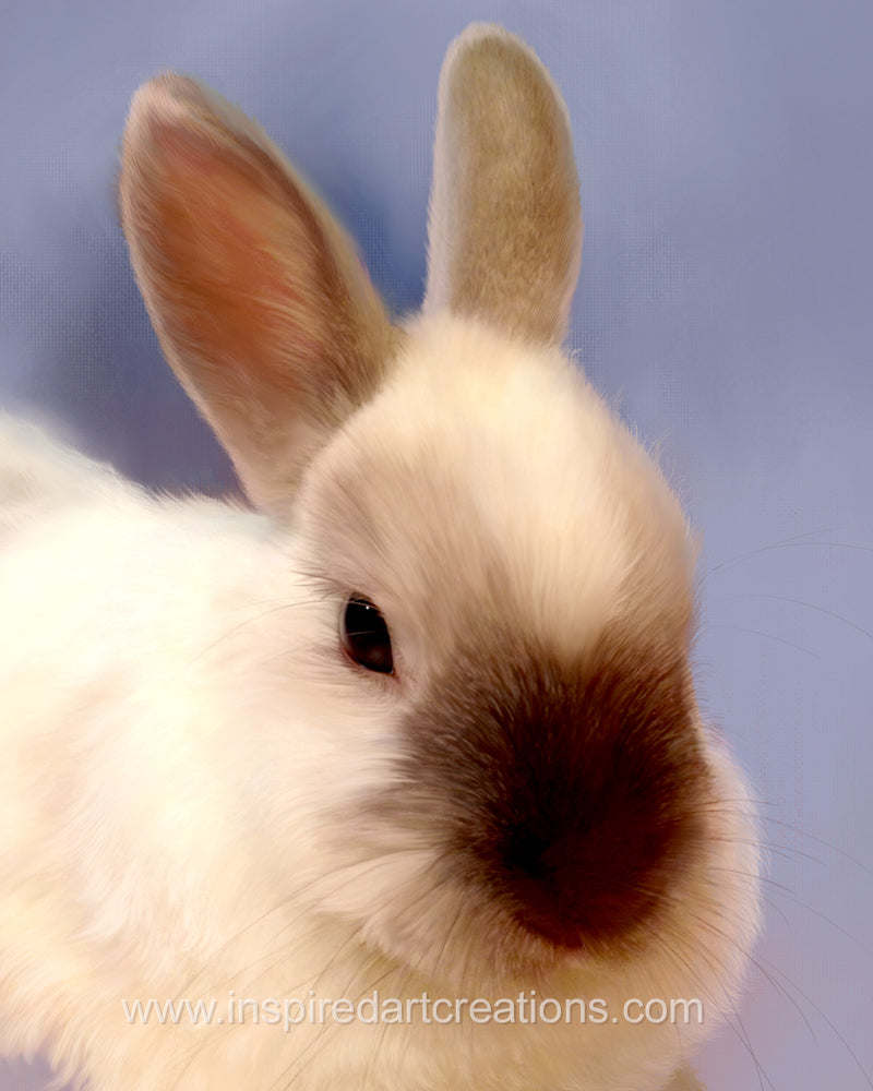 Giclee Print | Rabbit | Milo | InspiredArtCreations