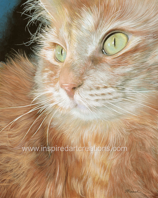 Giclee Print | Cat | Orion Close-Up | InspiredArtCreations