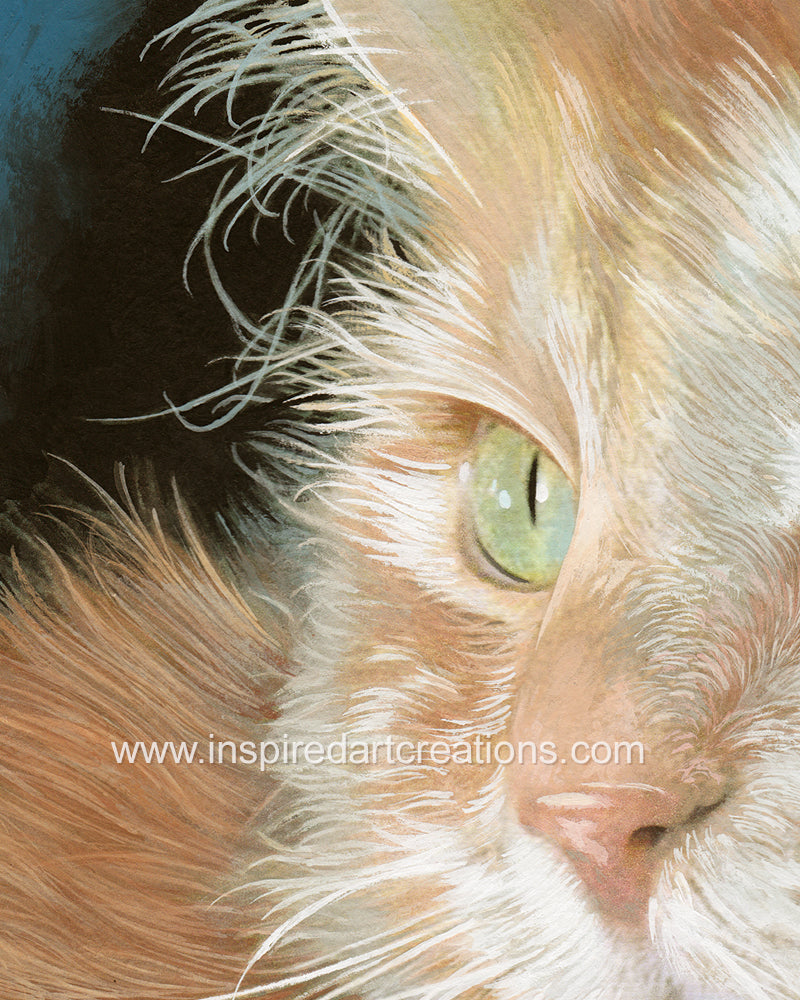Giclee Print | Cat | Orion Close-Up | InspiredArtCreations