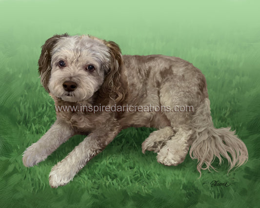 Giclee Print | Dog | Truffles | InspiredArtCreations