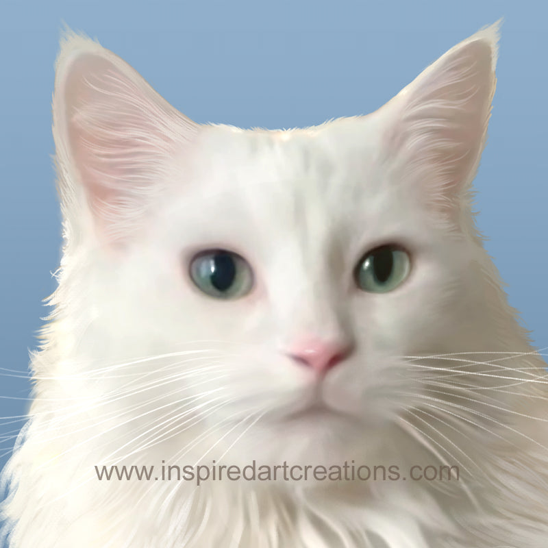 Giclee pigmentaire | Chat | Tubby | InspiredArtCreations
