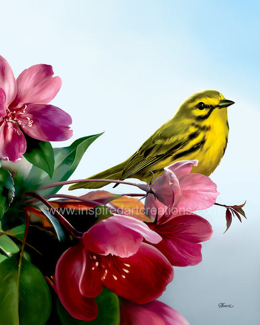 Giclee Print | Bird | Yellow Warbler | InspiredArtCreations