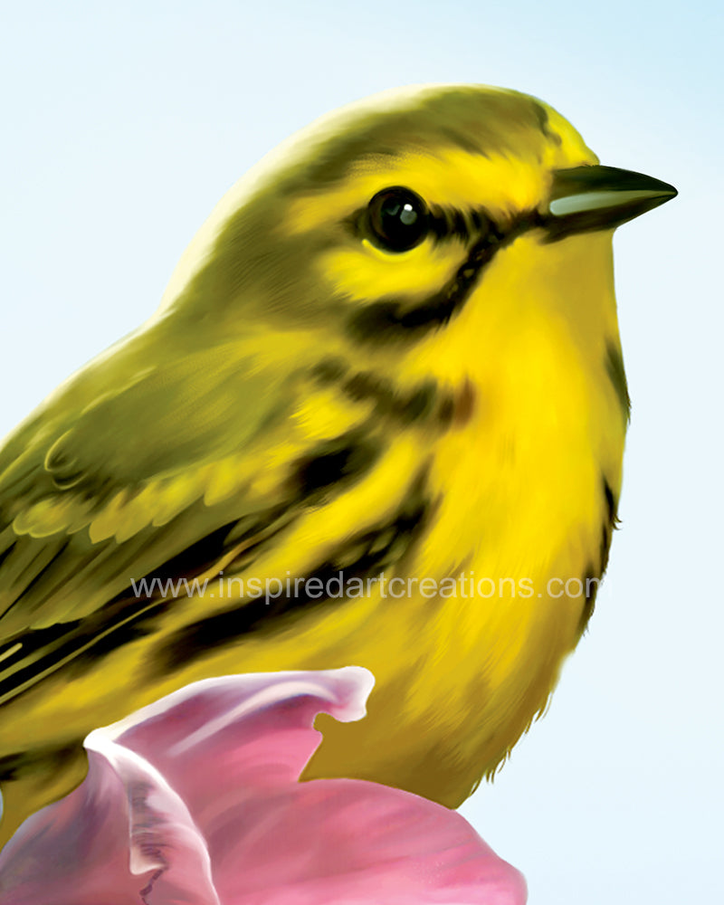 Giclee pigmentaire | Oiseau | Paruline jaune | InspiredArtCreations
